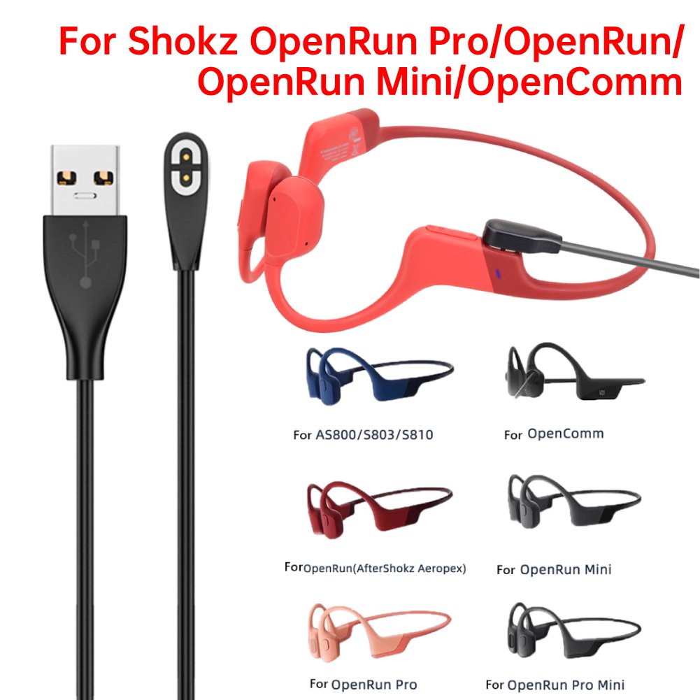 Pengisi Daya Headphone Konduks - Skyrc B6 Neo Smart Charger ulasan dan harga
